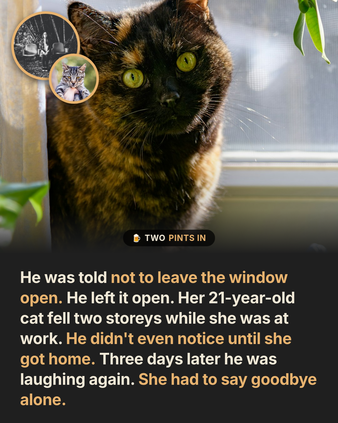 She Warned Him Every Time. He Laughed It Off. Then the Window Was Open.