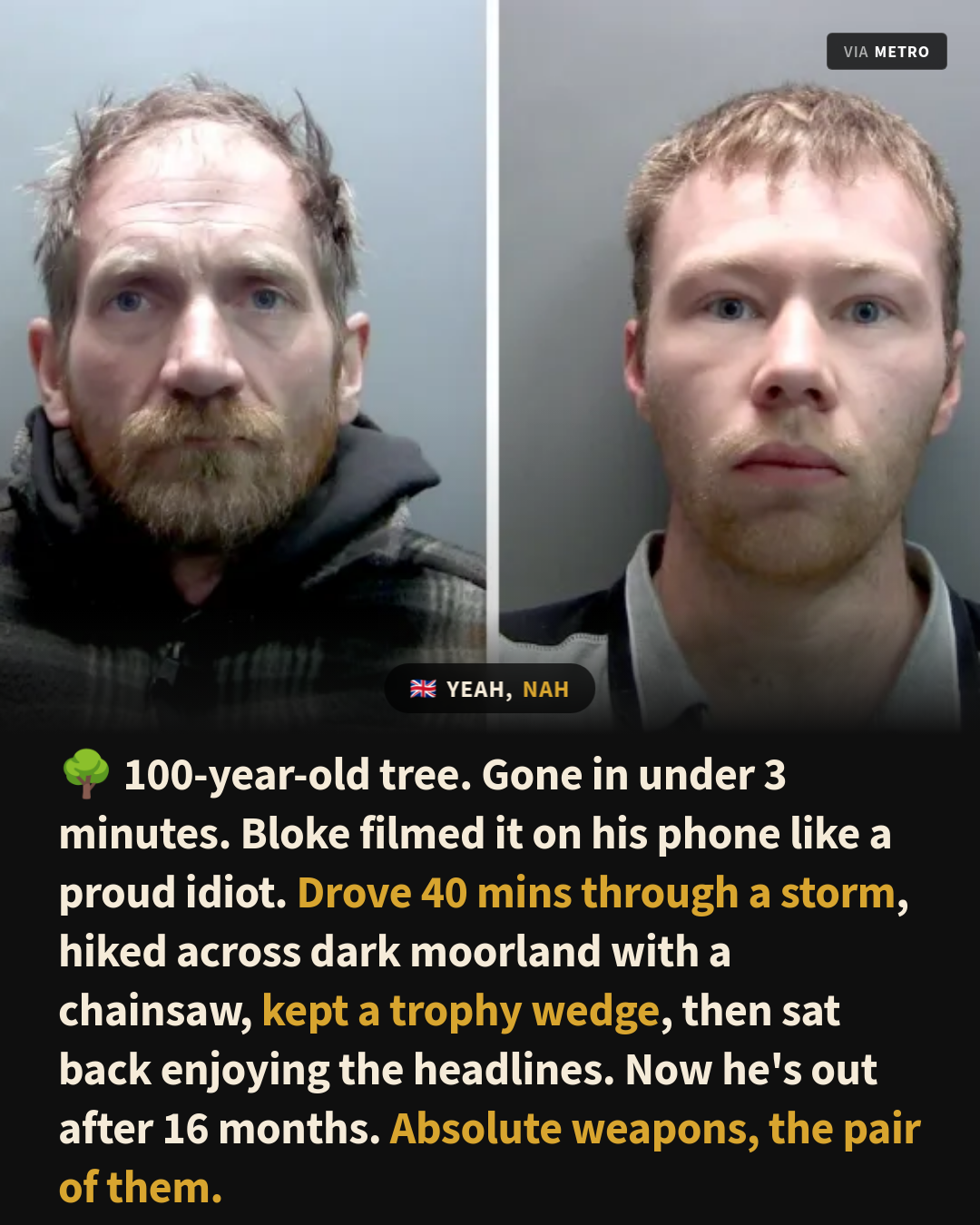 Chainsaw, Trophy Wood and a Phone Camera: Britain's Daftest Vandals Are Free
