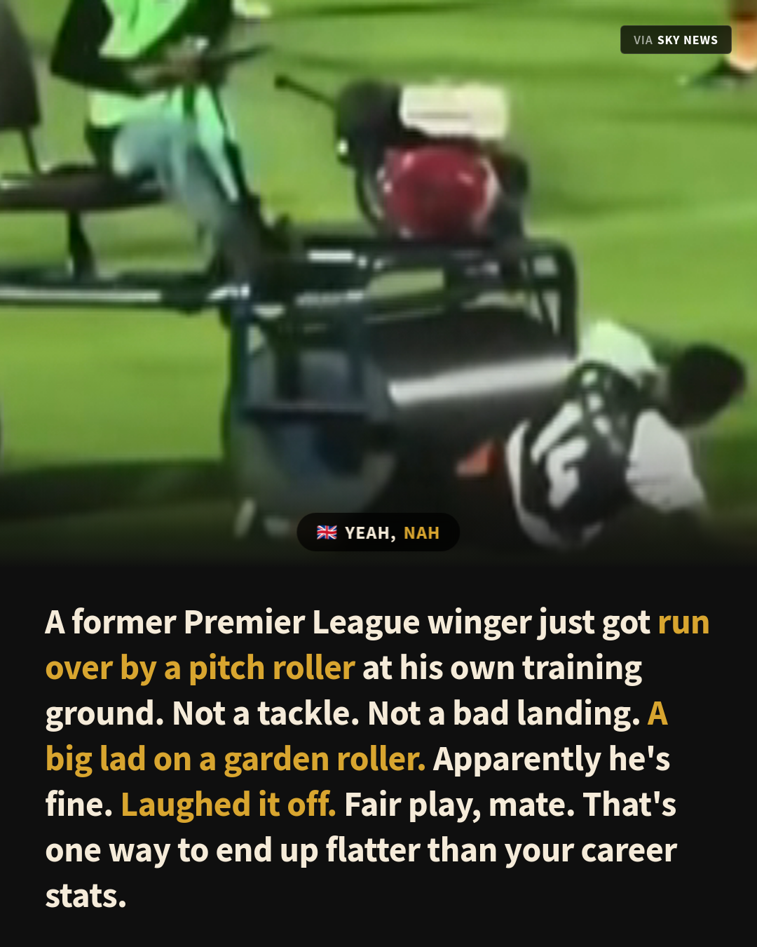 Former Premier League Star Gets Flattened by a Pitch Roller